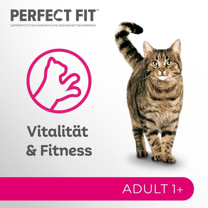 Perfect Fit Adult 1+ Wet Cat Food Selection With Salmon, Ocean Fish, Beef And Chicken, 48 plicuri, 12X85G (pachet de 4) - Hrană umedă premium pentru pisici, pentru pisici adulte de peste 1 an
