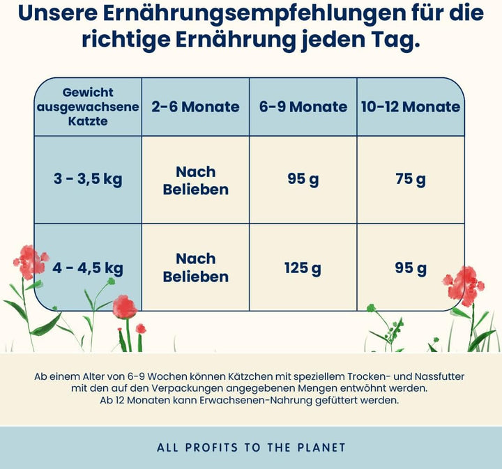 Almo Nature Holistic Kitten With Chicken And Rice- hrană uscată pentru pisoi, toate rasele 2kg