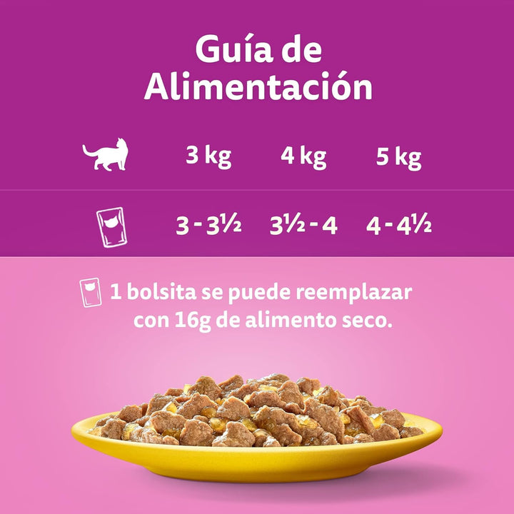 Whiskas Hrană umedă pentru pisici, adulți, Bird's Choice, Jelly, Multipack (4 X 12 pungi X 85 G)