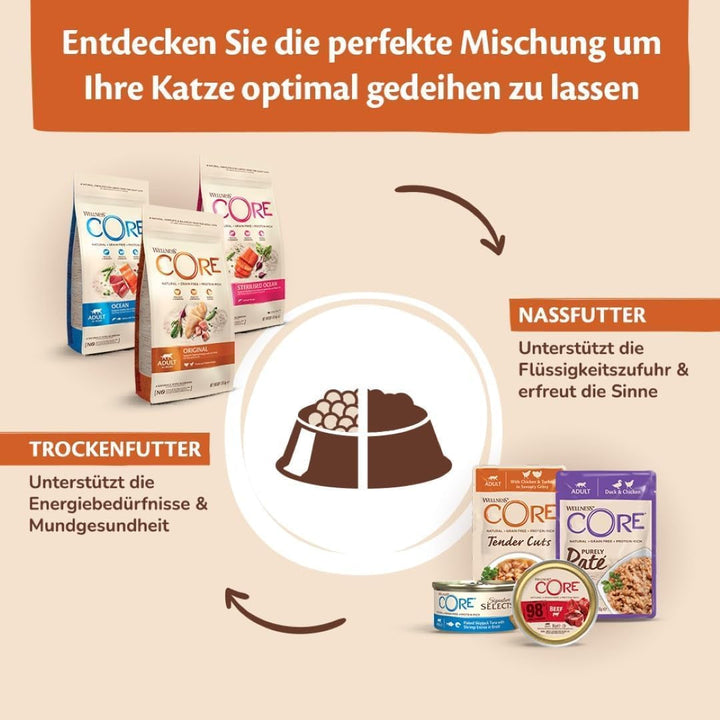 Wellness CORE Signature Selects Fish Bundle, 48 X 79G, fulgi de bonito și creveți, fulgi de bonito și somon, hrană umedă pentru pisici adulte în bulion, fără zahăr adăugat, fără cereale, cu conținut ridicat de carne
