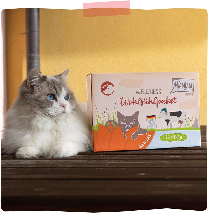 Mjamjam - Hrană umedă premium pentru pisici - Wellness Wellbeing Pack Beef, 12Pack (12 X 125G), fără cereale cu extra carne