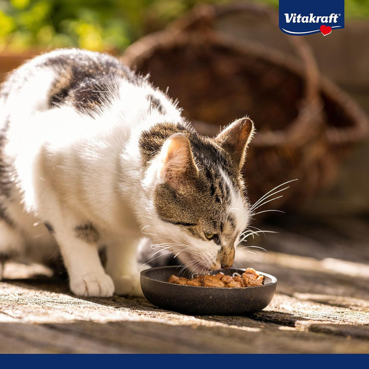 Vitakraft Poésie Création, Finest Selection, hrană umedă pentru pisici, hrană umedă pentru pisici Jelly, cu somon și spanac, cu vânat în jeleu de afine, fără zahăr adăugat și cereale (1 pachet cu 6X 85G)
