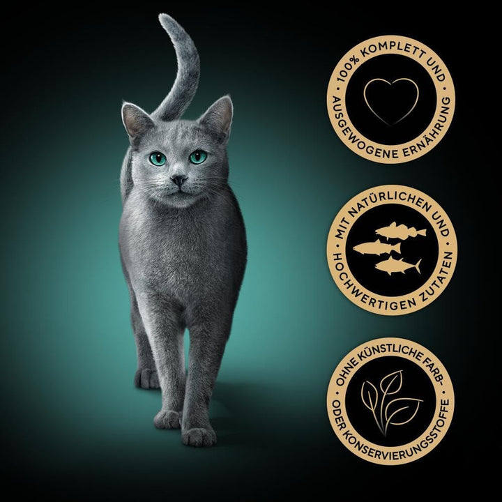 Sheba Fresh & Fine Multipack pungă porție 3 varietăți cod, somon, ton în sos MSC 5X15X50G