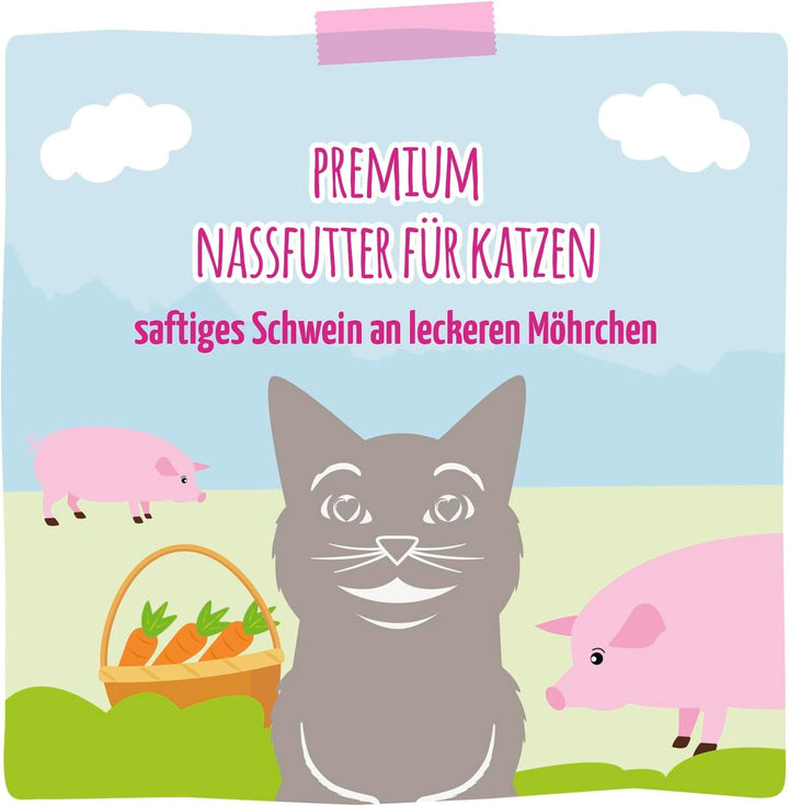 Mjamjam - Hrană umedă premium pentru pisici - Squeeze - Porc suculent cu morcovi delicioși, pachet de 6 (6 X 300G), fără cereale cu extra carne