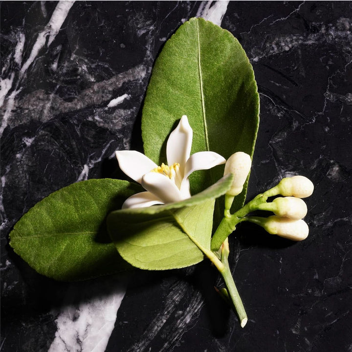 JOOP! Homme, Gel de duș pentru bărbați, parfum oriental-floral-lemnos, 150 ml Duș și baie Naty Shop