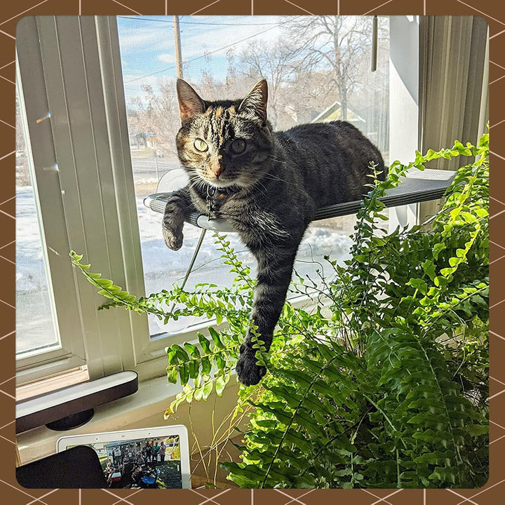 Zonă de bronzare de 360°, cu suporturi metalice inferioare, scaun la fereastră pentru pisici, hamac pentru pisici, scaun la fereastră pentru toate pisicile