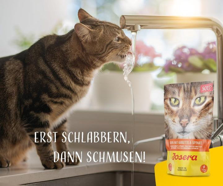 JOSERA Supă de pui cu morcov și spanac (16 X 70 G) | Adult | Hrană umedă premium pentru pisici adulte | Pui în supă cu legume | Fără cereale | Hrană umedă pentru pisici în pungă proaspătă | 16Pack