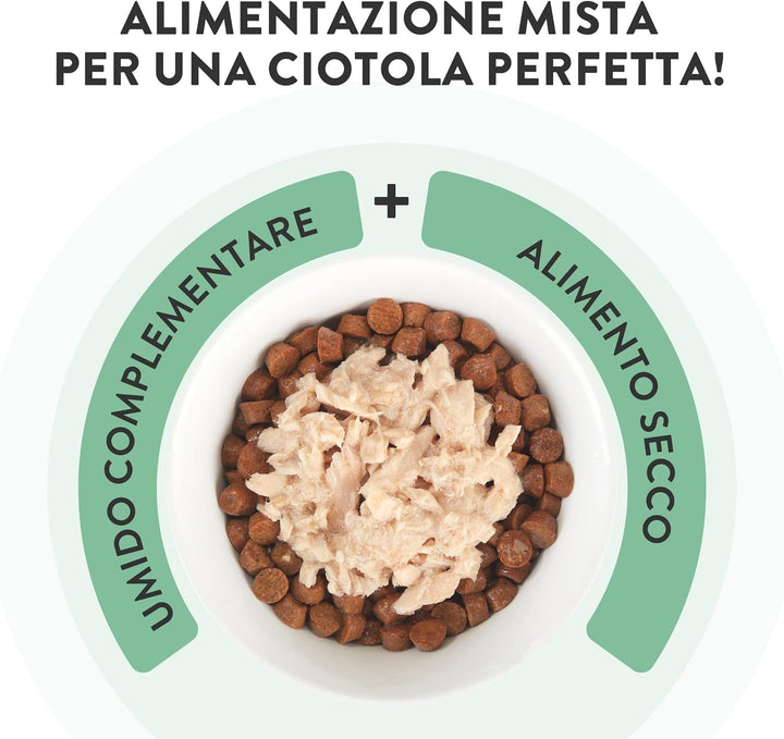 , File de ton cu dinte de jeleu, Hrană umedă complementară pentru pisici, Rețetă originală, 100% naturală, 12 cutii la 70 G