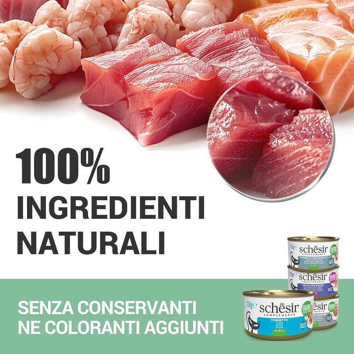 , File de pui cu șuncă în jeleu, Hrană umedă complementară pentru pisici, Rețetă originală, 100% naturală, 12 cutii la 70 G