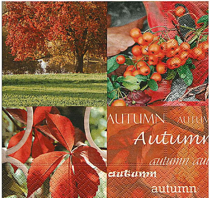 Șervețele din celuloză, natura toamnei" (conținut 1)