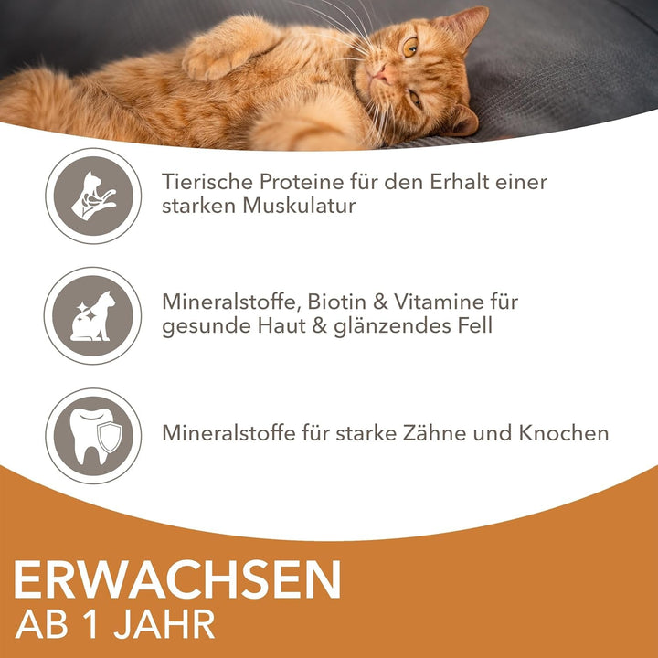 Hrană umedă pentru pisici Iams Delights cu pui și curcan în sos - Multipack pentru pisici adulte, 24 X 85G