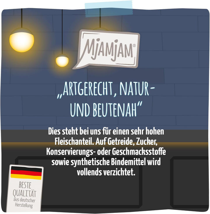 Mjamjam - Băutură delicioasă pentru pisici - Cocteiluri - File de somon jumulit, 20Pack (20X40), fără cereale