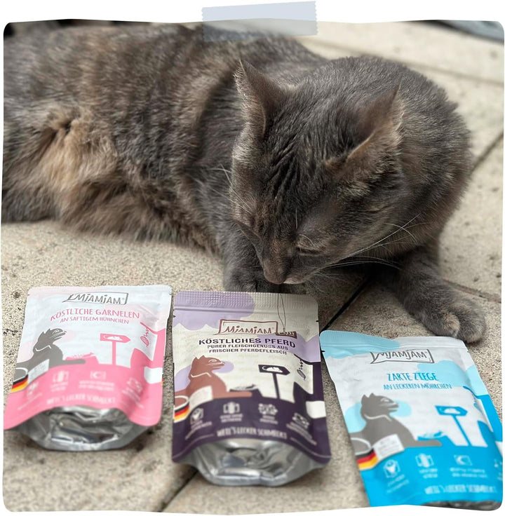Mjamjam - Hrană umedă premium pentru pisici - Mese delicioase Mix Pack III pentru pisica ta, pachet de 6 (6 X 200 G), fără cereale cu extra carne