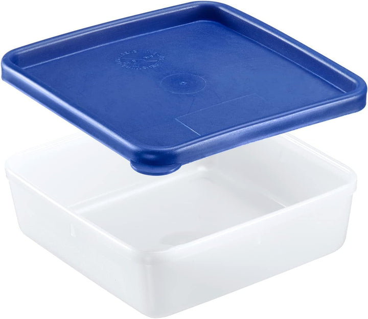 Westmark 4 recipiente pentru depozitarea alimentelor/congelare, inclusiv capac, capacitate: 0,25 l fiecare, stivuibile, plastic, Trio, culoare: transparent/albastru, 25042270 Cutii depozitare alimente Naty Shop