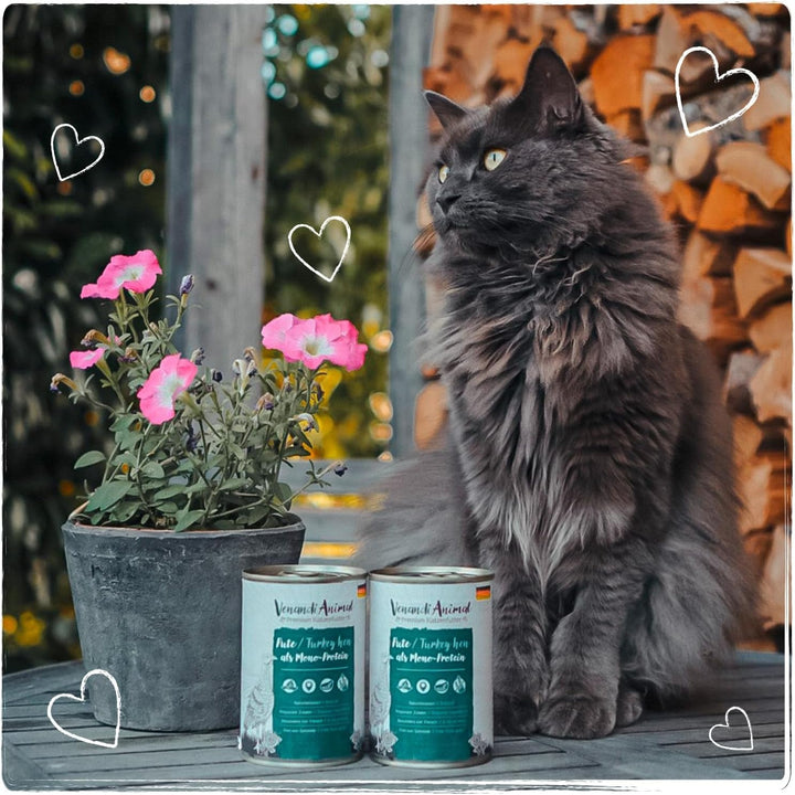 Venandi Animal - Hrană premium pentru pisici - Curcan ca hrană umedă monoproteică, fără cereale și naturală, pachet de 6 (6 X 400G)