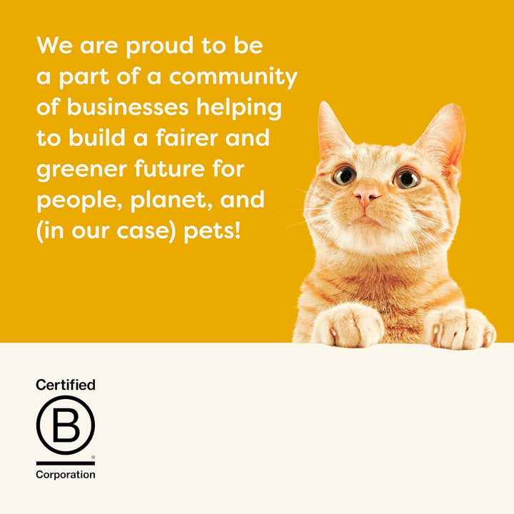 Applaws 100% Natural Premium Hrană umedă pentru pisici, Chicken Choice Multipack în bulion - pachet de 12 cutii de X 156G (pachet de 2)