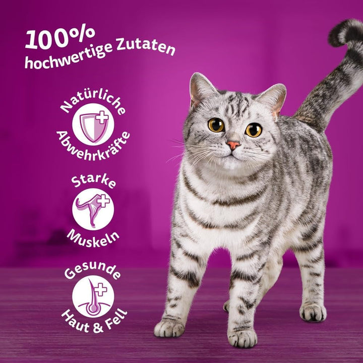Whiskas Adult 1+ Hrană umedă pentru pisici Selecție mixtă în jeleu, 84 pliculețe, 84X85G (1 pachet vrac) - Hrană umedă de înaltă calitate, Pentru pisici adulte