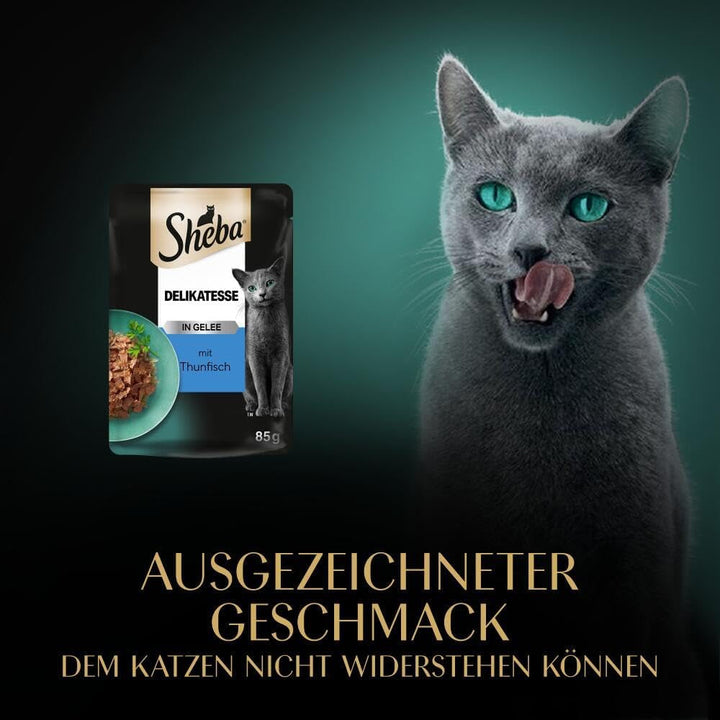 SHEBA săculeți hrană umedă pentru pisici delicatesă în jeleu cu ton Msc certified 28 X 85G