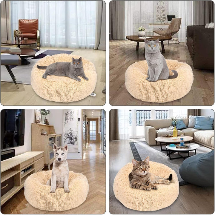 Pat pentru pisici Queta, pat minunat pentru animale de companie, pat pentru câini mici, pat rotund și moale, pat pentru pisici (50 cm, bej)