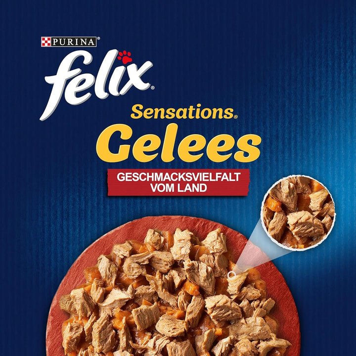 FELIX Sensations Jellies hrană pentru pisici umedă în jeleu, amestec variat, pachet de 6 (6 X 12 pungi a 85G)