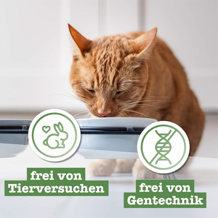 Hrană umedă pentru pisici Catz Finefood Classic N° 15 Chicken & Pheasant - Hrană umedă gourmet pentru pisica dvs. fără zahăr și cereale, fără gluten - cu conținut ridicat de carne, fabricată în Germania (6 cutii de 800 g)